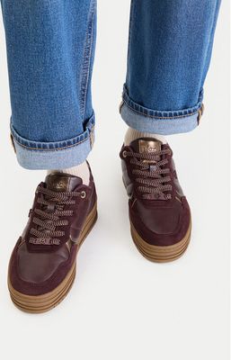 Buty sportowe damskie Mexx ze sklepu: MODIVO w kategorii: Buty sportowe damskie - zdjęcie WP-EBWP-BKLVO-LN0_5907964606765