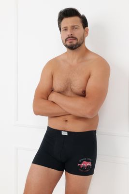 Majtki męskie Italian Fashion ze sklepu: italianfashion w kategorii: Majtki męskie - zdjęcie WP-ITAL-FCTU3-R7J_AAF-MSL-FERN-B-CA-03-1