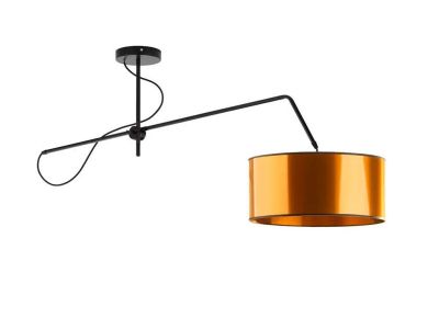 Lampa wisząca Lumes ze sklepu: Edinos.pl w kategorii: Lampy wiszące - zdjęcie WPH-EDNS-GX13N-QCJ_12024