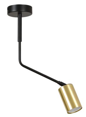 Lampa sufitowa Lumes ze sklepu: Edinos.pl w kategorii: Lampy sufitowe - zdjęcie WPH-EDNS-GX13N-QCJ_18830
