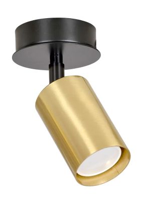 Lampa sufitowa Lumes ze sklepu: Edinos.pl w kategorii: Lampy sufitowe - zdjęcie WPH-EDNS-GX13N-QCJ_19400
