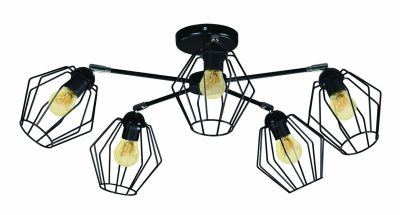 Lampa sufitowa Lumes ze sklepu: Edinos.pl w kategorii: Lampy sufitowe - zdjęcie WPH-EDNS-GX13N-QCJ_22612