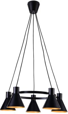 Lampa wisząca Lumes ze sklepu: Edinos.pl w kategorii: Lampy wiszące - zdjęcie WPH-EDNS-GX13N-QCJ_24266
