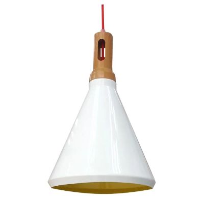 Lampa wisząca Lumes ze sklepu: Edinos.pl w kategorii: Lampy wiszące - zdjęcie WPH-EDNS-GX13N-QCJ_26553