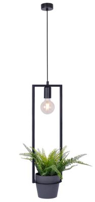 Lumes - Lampa wisząca ze sklepu: Edinos.pl w kategorii: Lampy wiszące - zdjęcie WPH-EDNS-GX13N-QCJ_30451