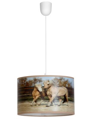 Lampa wisząca Lumes ze sklepu: Edinos.pl w kategorii: Lampy wiszące - zdjęcie WPH-EDNS-GX13N-QCJ_30780
