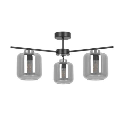 Lampa sufitowa Lumes ze sklepu: Edinos.pl w kategorii: Lampy sufitowe - zdjęcie WPH-EDNS-GX13N-QCJ_50329