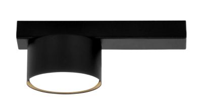Lampa sufitowa Lumes ze sklepu: Edinos.pl w kategorii: Lampy sufitowe - zdjęcie WPH-EDNS-GX13N-QCJ_50400