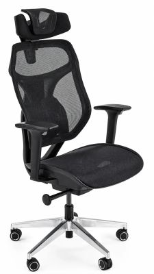 Fotel Edinos Premium ze sklepu: Edinos.pl w kategorii: Fotele - zdjęcie WPH-EDNS-GX13N-QCJ_56379